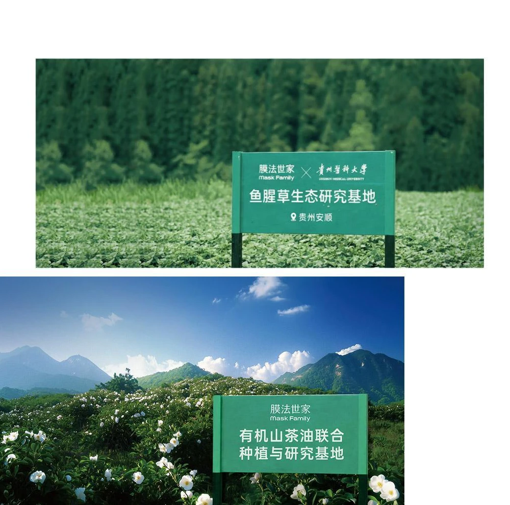 中国植物原料探索：油茶籽与鱼腥草产地